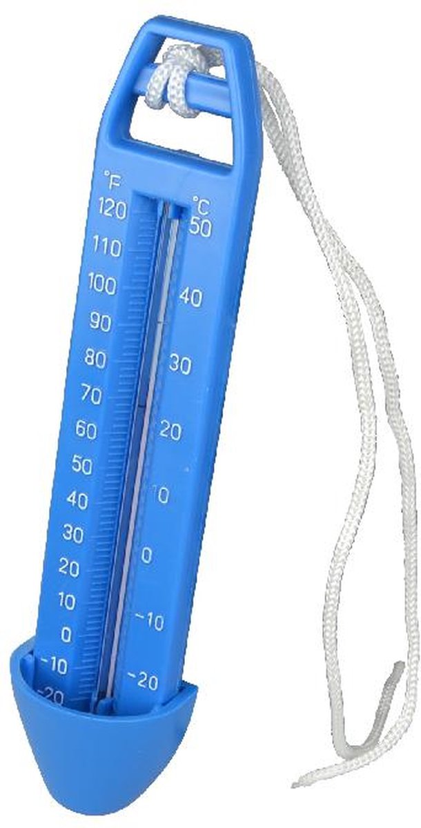 Summer Fun Thermometer budget