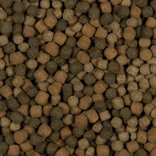 Velda SaniKoi Colour Hi-Grow Mix - Visvoer voor Intensieve Kleuren bij Koi en Karperachtigen -  Verkrijgbaar in 3 - 6 mm - 3 -10 liter