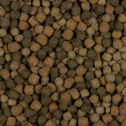 Velda SaniKoi Colour Hi-Grow Mix - Visvoer voor Intensieve Kleuren bij Koi en Karperachtigen -  Verkrijgbaar in 3 - 6 mm - 3 -10 liter