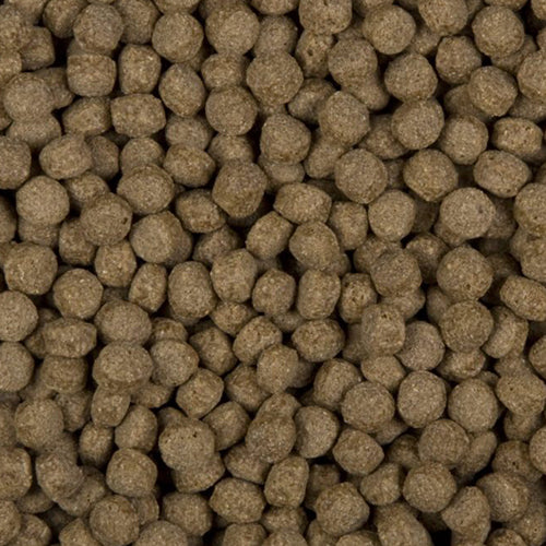 Velda SaniKoi All Season Wheat Germs - Drijvend Visvoer voor Koi en Karperachtigen - 6 mm - 3 liter