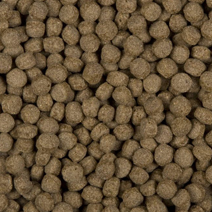 Velda SaniKoi All Season Wheat Germs - Drijvend Visvoer voor Koi en Karperachtigen - 6 mm - 3 liter