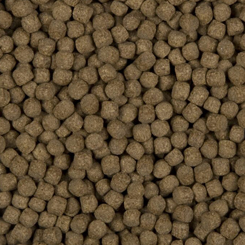 Velda SaniKoi Staple Prime - Dagelijks Visvoer voor Koi en Karperachtigen - 6 mm - Verkrijgbaar in 3 - 10 - 20 liter