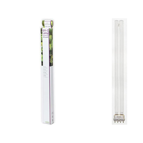 Velda UV-C PL Lamp - Verkrijgbaar in 5-7-9-11-13-18-36-55 Watt