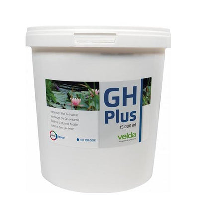 VT Gh plus light