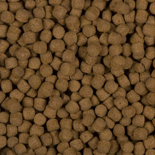 Velda SaniKoi Excellent All-Round - Visvoer voor Excellente groei en kleur van koi en karperachtigen - Verkrijgbaar in 3 mm en 6 mm en 1 - 3 - 10 liter